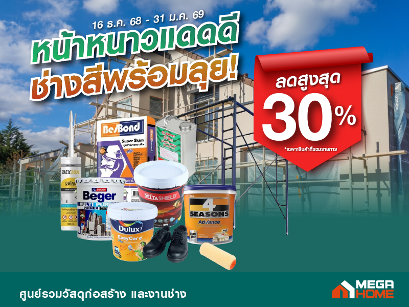 หน้าหนาวทาสี